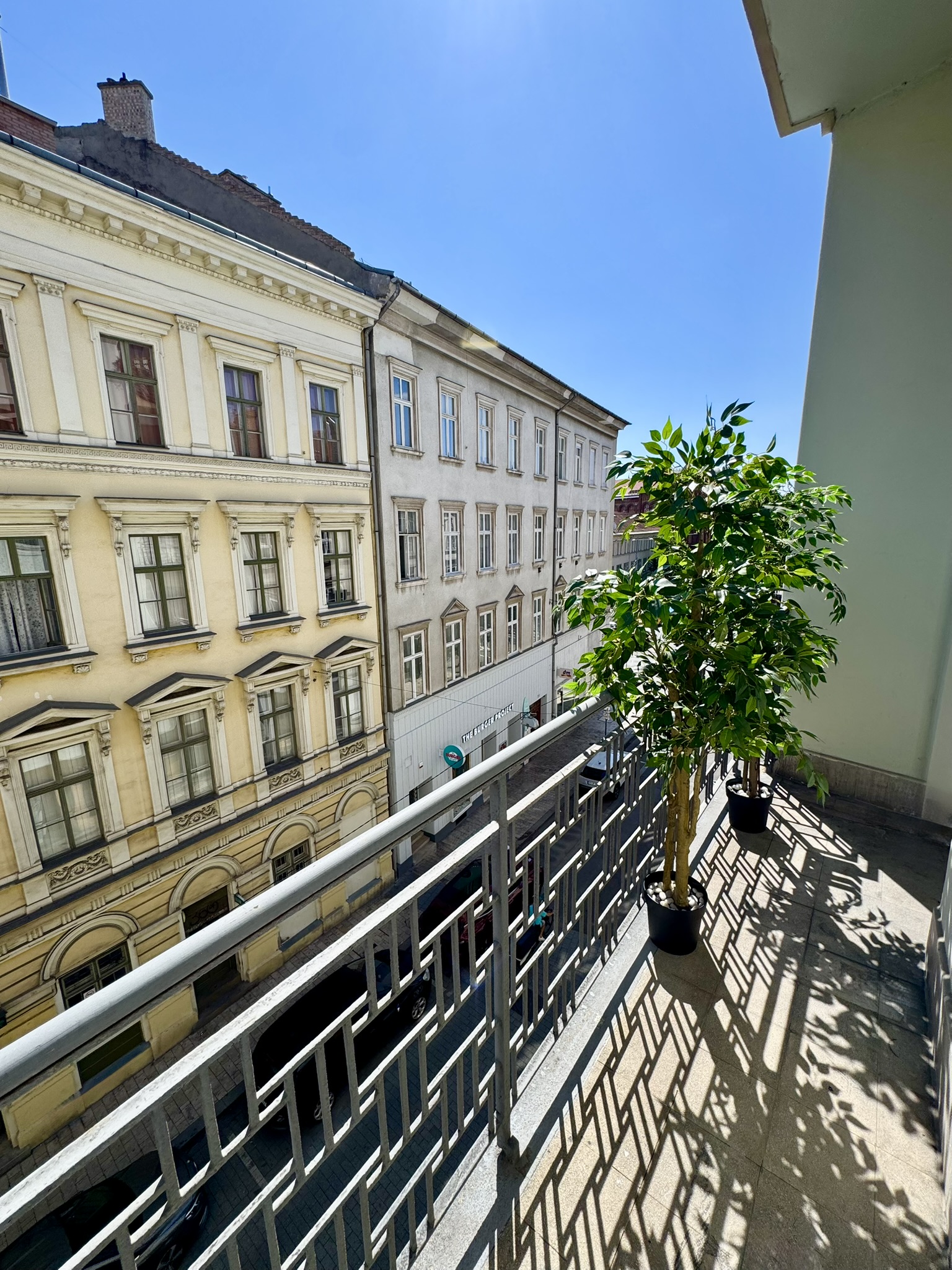 orange tree