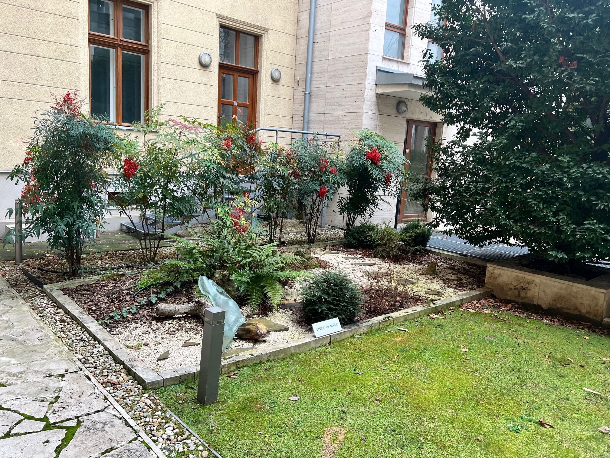 orange tree